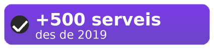 + de 500 serveis realitzats